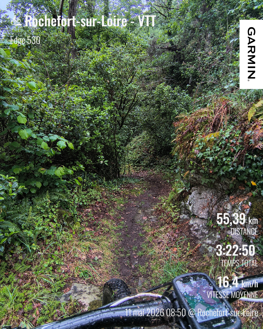 Parcours VTT à Chanzeaux (49) avec Le Bon Vélo